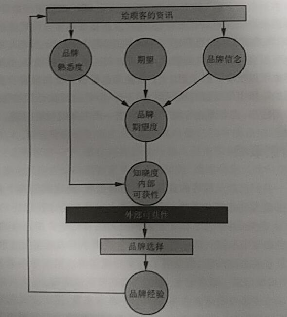 品牌选择的过程---品牌的期望度和可获性